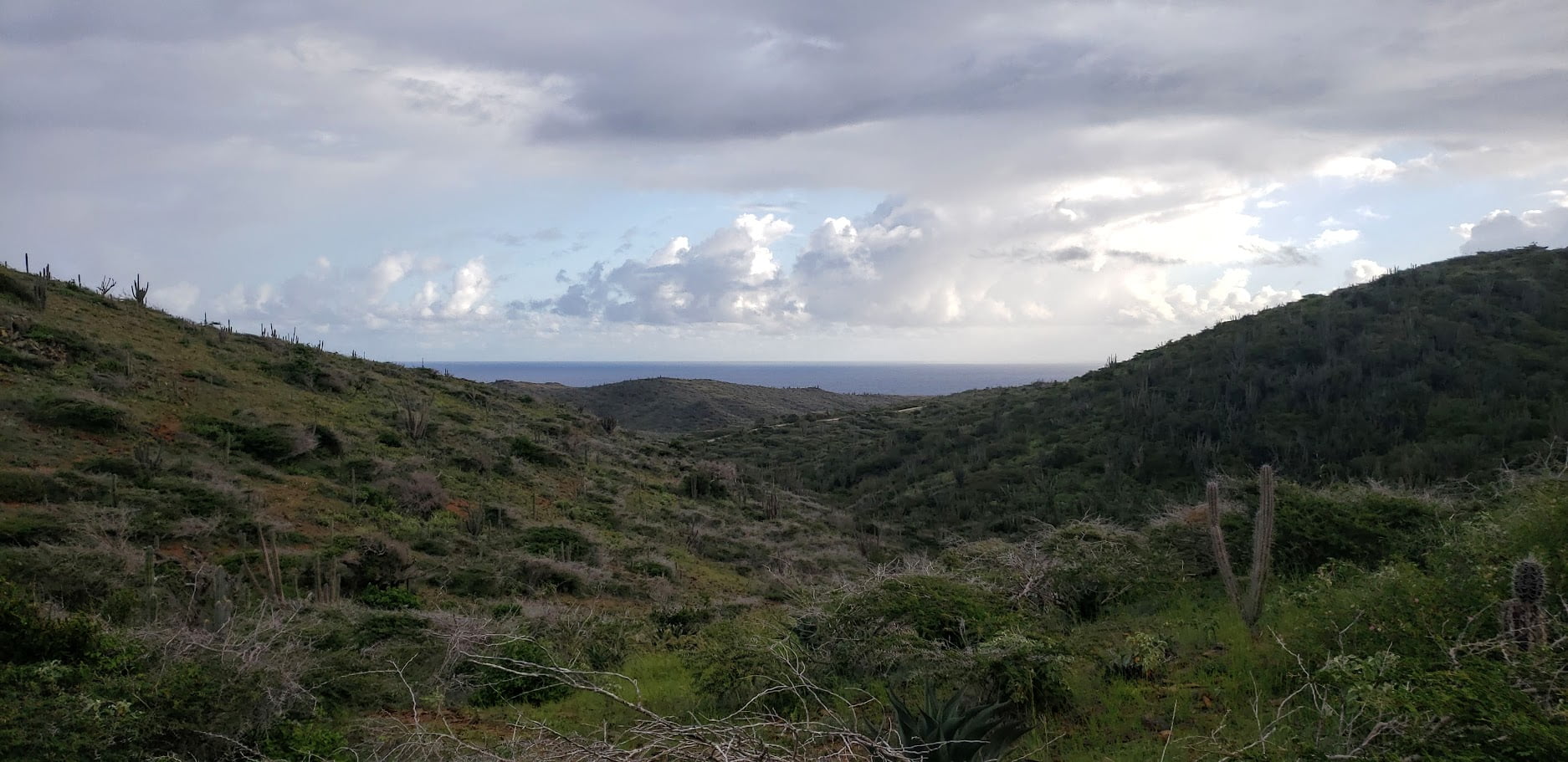 Top 5 Adventurous Activities In Aruba Arubarates Top 5 adventurous activities in aruba arubarates
