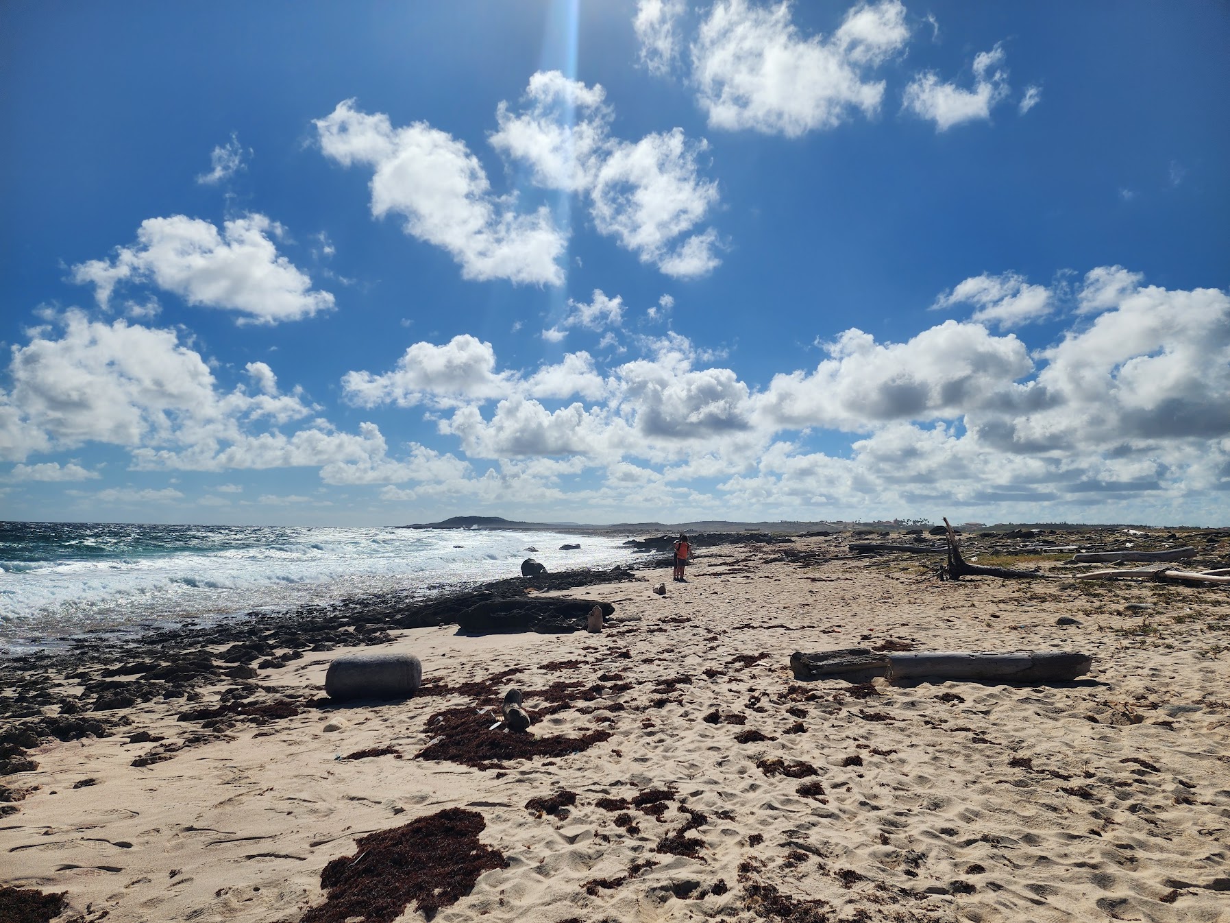 Aruba vacation budget